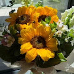 Seller Image